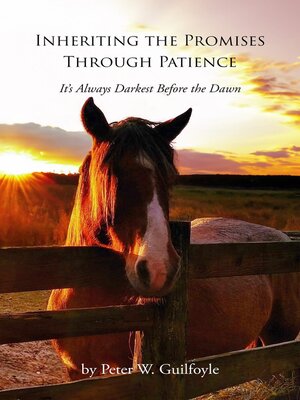 cover image of Inheriting the Promises Through Patience